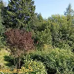 Zuhause Am Wald Apartman *