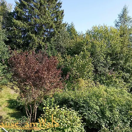 Zuhause Am Wald Апартаменты *
