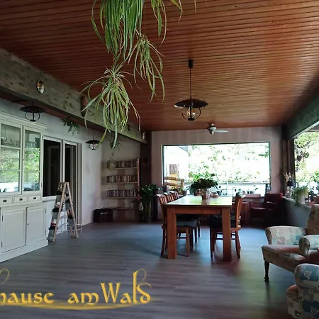 Zuhause Am Wald Διαμέρισμα Brilon