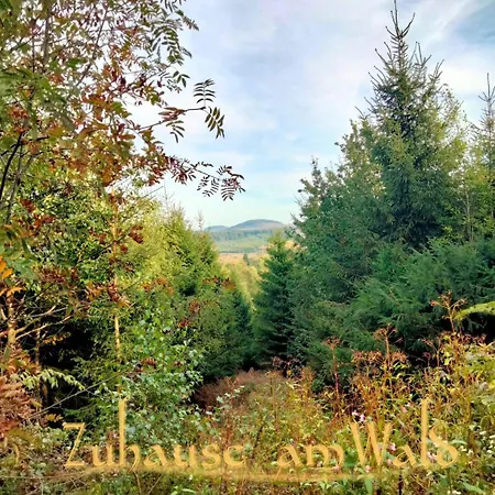 Zuhause Am Wald Брилон