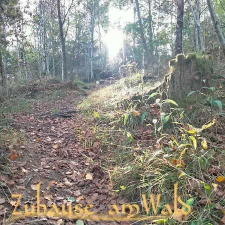 Zuhause Am Wald *