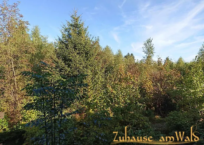 Zuhause Am Wald *